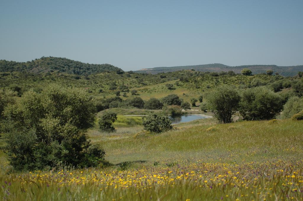 Хостел Albergue Rural De Fuente Agria Вільяфранка-де-Кордова Екстер'єр фото